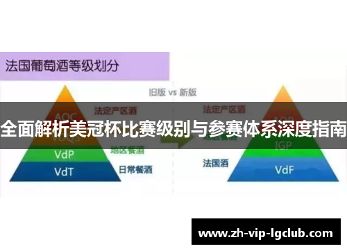 全面解析美冠杯比赛级别与参赛体系深度指南 全面解析美冠杯比赛级别与参赛体系深度指南