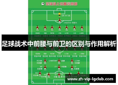 足球战术中前腰与前卫的区别与作用解析