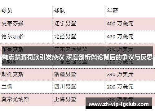 魏震禁赛罚款引发热议 深度剖析舆论背后的争议与反思