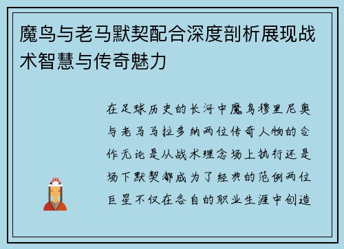 魔鸟与老马默契配合深度剖析展现战术智慧与传奇魅力 魔鸟与老马默契配合深度剖析展现战术智慧与传奇魅力